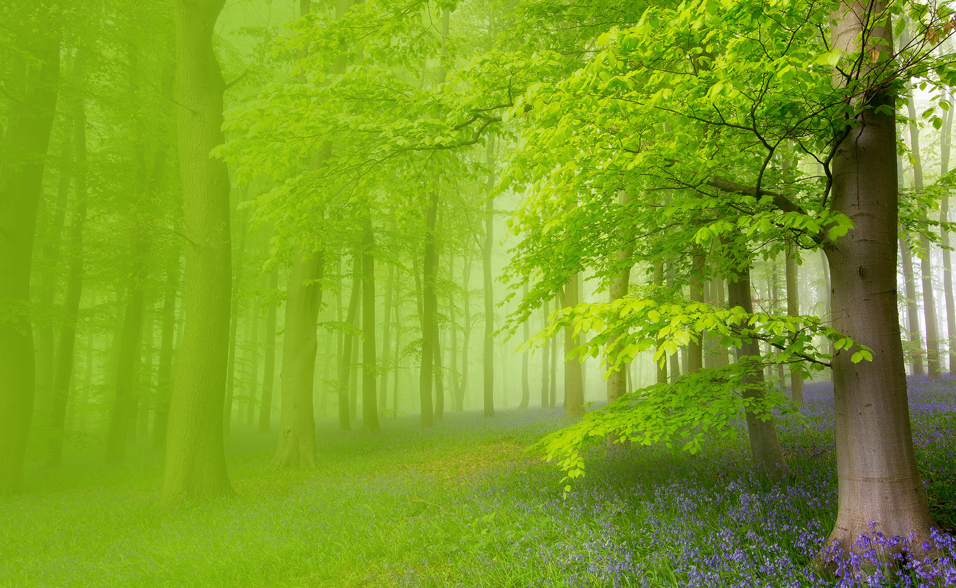 Kick start your day every day… ever tried affirmations